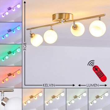 Plafonnier Motala LED Nickel mat, 4 lumières, Télécommandes, Changeur de couleurs