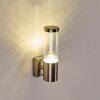 Applique murale d'extérieur Noreaz Chrome, 1 lumière