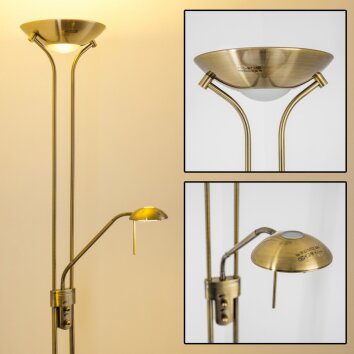 Lampadaire à vasque Rom LED Vieux laiton, 2 lumières
