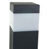 Lampe d'extérieur Steinhauer Theijan Noir, 1 lumière