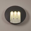 Applique murale d'extérieur Silvso LED Anthracite, 3 lumières
