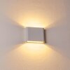 Applique murale d'extérieur Tinglev LED Blanc, 2 lumières