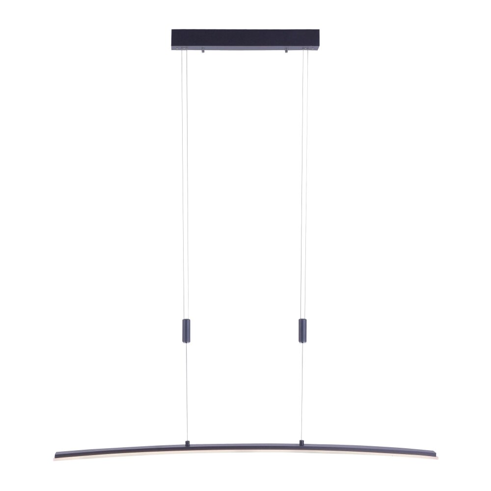 Suspension Paul Neuhaus JANINA LED Anthracite, 1 lumière main product photo