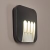 Applique murale d'extérieur Silvso LED Anthracite, 4 lumières