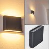 Applique murale d'extérieur Tinglev LED Anthracite, 2 lumières