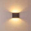 Applique murale d'extérieur Tinglev LED Anthracite, 2 lumières