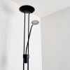 Lampadaire Abiqua LED Noir, 2 lumières