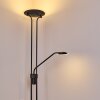 Lampadaire Abiqua LED Noir, 2 lumières