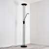 Lampadaire Abiqua LED Noir, 2 lumières