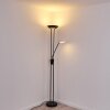 Lampadaire Abiqua LED Noir, 2 lumières