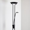 Lampadaire Abiqua LED Noir, 2 lumières