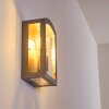 Applique murale d'extérieur Chipola Acier inoxydable, 1 lumière