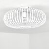 Plafonnier Ovari Blanc, 1 lumière