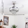 Ventilateur de plafond Bendigo LED Nickel mat, Transparent, 1 lumière