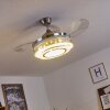 Ventilateur de plafond Bendigo LED Nickel mat, Transparent, 1 lumière