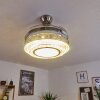 Ventilateur de plafond Bendigo LED Nickel mat, Transparent, 1 lumière