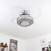 Ventilateur de plafond Bendigo LED Nickel mat, Transparent, 1 lumière