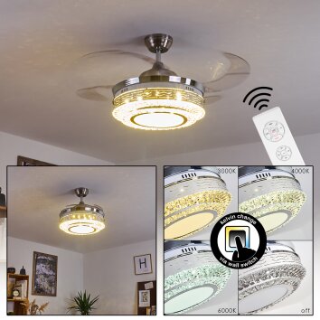 Ventilateur de plafond Bendigo LED Nickel mat, Transparent, 1 lumière