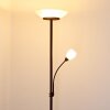 Lampadaire Gismaro Rouille, 3 lumières