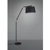 Lampadaire Trio Leuchten TRACY Noir, 1 lumière