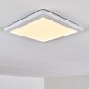 Plafonnier Siguna LED Blanc, 1 lumière Plafonnier Siguna LED Blanc, 1 lumière