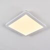 Plafonnier Siguna LED Blanc, 1 lumière Plafonnier Siguna LED Blanc, 1 lumière