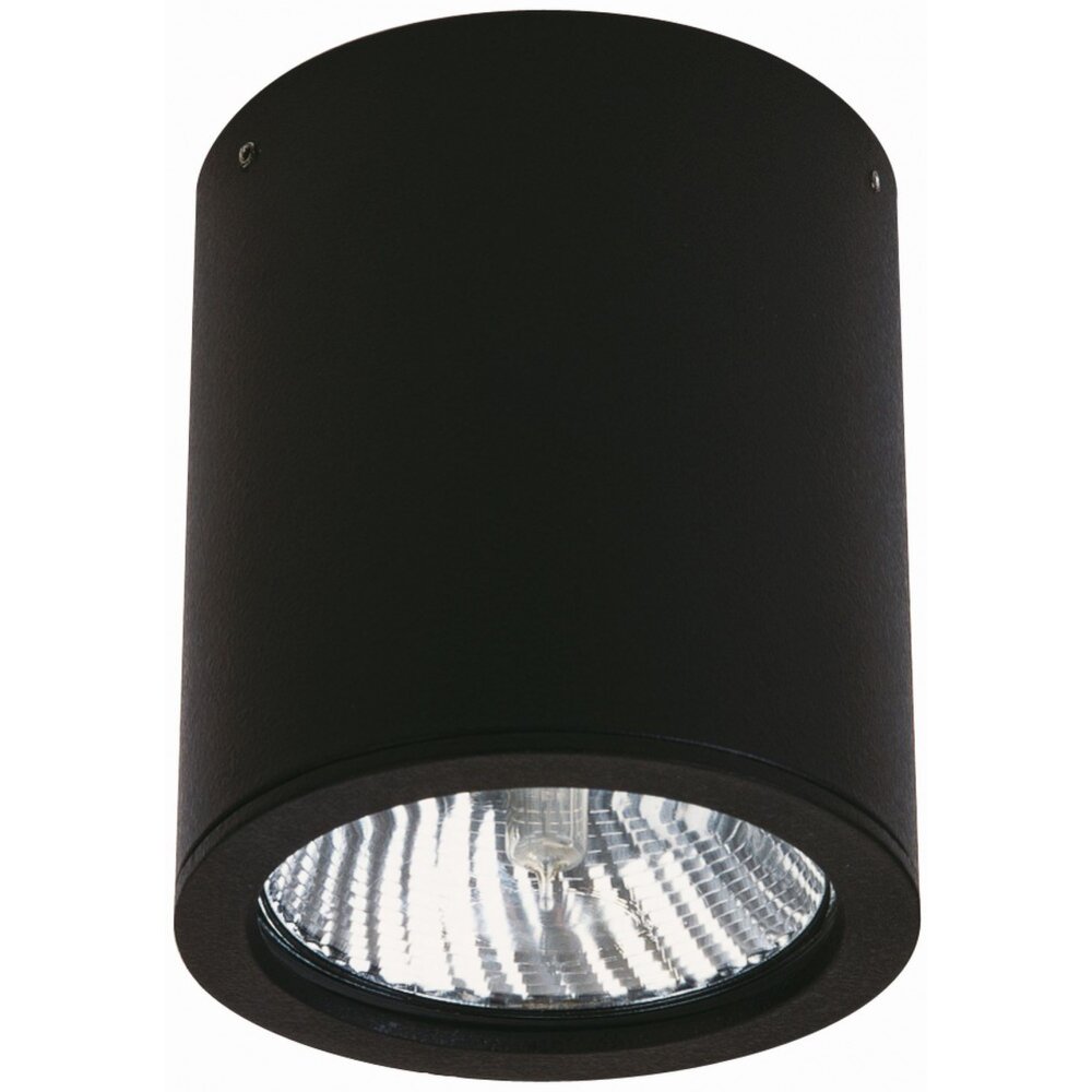 Plafonnier Albert 2130 Noir, 1 lumière main product photo