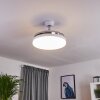 Ventilateur de plafond Bendigo LED Chrome, Transparent, Blanc, 1 lumière