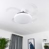 Ventilateur de plafond Bendigo LED Chrome, Transparent, Blanc, 1 lumière