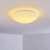 Plafonnier Brighton LED Blanc, 1 lumière, Télécommandes, Changeur de couleurs