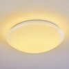 Plafonnier Brighton LED Blanc, 1 lumière, Télécommandes, Changeur de couleurs