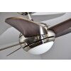 Ventilateur Globo FABIOLA Acier inoxydable, Nickel mat, 1 lumière, Télécommandes