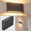 Applique murale d'extérieur Tinglev LED Anthracite, 2 lumières