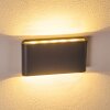 Applique murale d'extérieur Tinglev LED Anthracite, 2 lumières