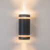 Applique murale d'extérieur Tagish Anthracite, 2 lumières