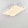 Plafonnier Salmi LED Aluminium, Blanc, 1 lumière