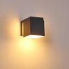 Applique murale d'extérieur Swanek LED Anthracite, 1 lumière