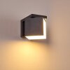 Applique murale d'extérieur Swanek LED Anthracite, 1 lumière