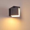 Applique murale d'extérieur Swanek LED Anthracite, 1 lumière