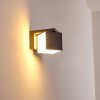Applique murale d'extérieur Swanek LED Anthracite, 1 lumière