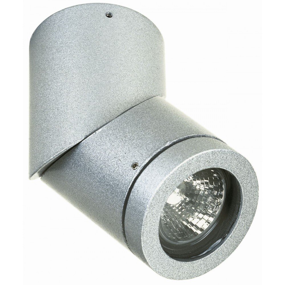 Plafonnier d'extérieur Albert 2138 Argenté, 1 lumière main product photo