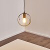 Suspension Leentje Noir doré, 1 lumière