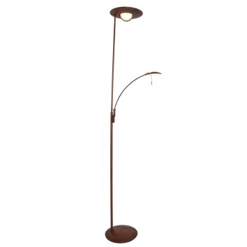 Lampadaire Steinhauer Zenith LED Bronze, 2 lumières