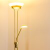 Lampadaire Biot LED Laiton, 2 lumières