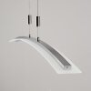 Suspension Delaware LED Argenté, 1 lumière