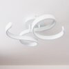 Plafonnier Chippewa LED Blanc, 1 lumière