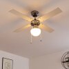 Ventilateur de plafond Valletta Chrome, Argenté, Blanc, 1 lumière