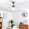 Ventilateur de plafond Valletta Chrome, Argenté, Blanc, 1 lumière