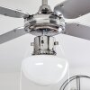 Ventilateur de plafond Valletta Chrome, Argenté, Blanc, 1 lumière