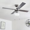 Ventilateur de plafond Valletta Chrome, Argenté, Blanc, 1 lumière